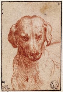 Hodet til en hund (rødt kritt på papir) av Parmigianino