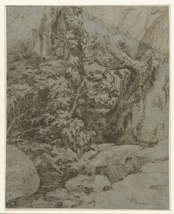 Studie av et landskap av Parmigianino