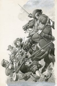 Schwarzer Bauch eines Pferdes