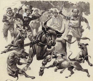 Bull baiting (gouache på papir)