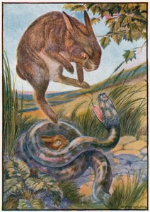 Mens hun hoppet slo hun til slangen med de sterke bakklørne (farge litho) av Patten Wilson