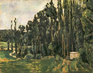 Poppeltrærne av Paul Cézanne