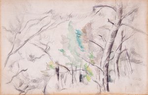 Trær [recto]; Encagnane med Pilon du Roi [tilbake] av Paul Cézanne