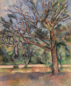 Trær og vei (Arbres et rute) av Paul Cézanne