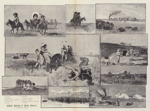 Bøffeljakt i Nord-Amerika