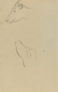 Head of a Cow [recto] av Paul Gauguin