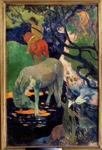 Le cheval blanc Maleri av Paul Gauguin (1848-1903) 1898 Søn. 1,4x0,91 m Paris, musee d