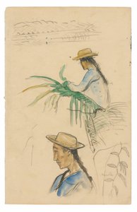 Skisser av figurer, Pandanus-blad og vaniljeplante av Paul Gauguin