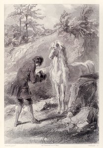 Hesten stoppet og stirret på meg, fra den franske utgaven av Gullivers Travels av Jonathan Swift av Paul Gavarni
