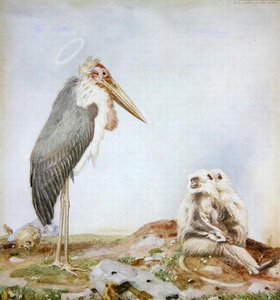 Holy Marabou (akvarell og blyant på papir) av Paul Grabwinkler