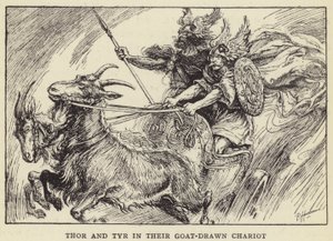 Thor og Tyr i sin geittrukket vogn