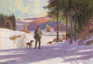 Julemorgen i skogen