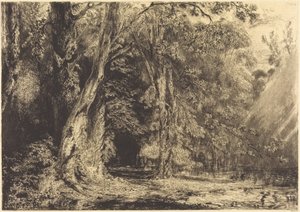  av Paul Huet