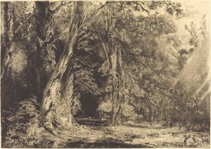 Flom i skogen til Ile Séguin av Paul Huet