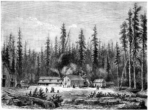 Gigantisk sequoia-skog, California, 1800-tallet. av Paul Huet
