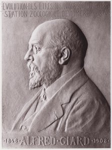 Alfred Giard (1846-1908), zoolog, portrett (litho) av Paul Marie Louis Pierre Richer