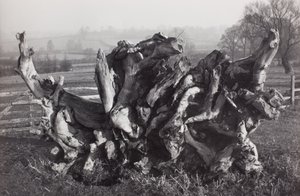  av Paul Nash