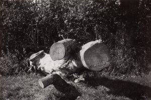  av Paul Nash