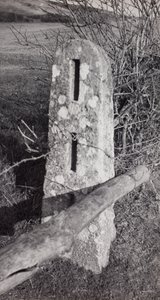  av Paul Nash
