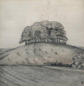 The Wood on the Hill