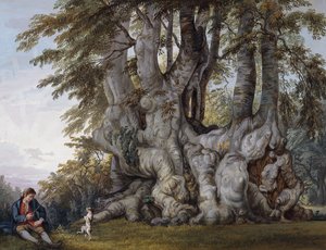 En gutt som lager en hund til å danse ved kulen til et gammelt knudret bøketre, av Paul Sandby