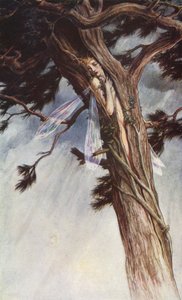 The Tempest av William Shakespeare, Act I, Scene 2 (farge litho) av Paul Vincent Woodroffe