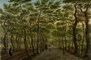 Herepaden i Haagse Bos Scheveningen-skogen nær Haag av Paulus Constantijn la Fargue (signed by artist)
