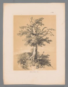Bom Pittoreske ansikter av Paulus Lauters (serietittel) Etrennes pittoresques pour 1839, av Lauters (serietittel)