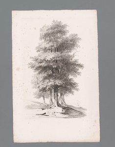 Gruppe med fem trær Prinsipper for landskap (serietittel) Principles de paysages (serietittel) av Paulus Lauters