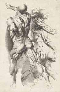 Anatomisk studie av tre figurer med utstrakte armer Tegneboken til Peter Paul Rubens (serietittel)