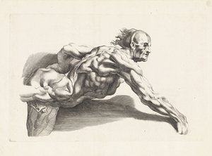 Anatomisk studie av lenende mann Tegneboken til Peter Paul Rubens (serietittel)