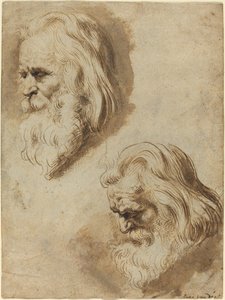 To studier av en eldre manns hode av Paulus Pontius after Sir Peter Paul Rubens