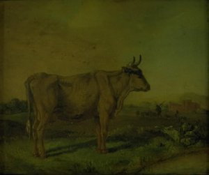 En ku av Paulus Potter