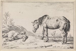  av Paulus Potter
