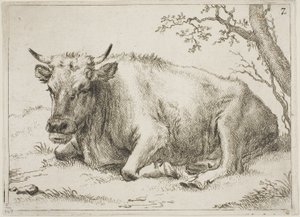 Ku som ligger ved siden av et tre, plate 7 fra Åtte okser og kyr av Paulus Potter