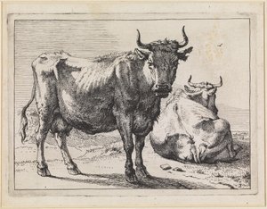  av Paulus Potter