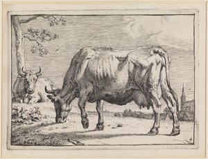  av Paulus Potter