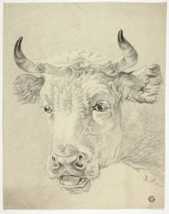 Leder for Cow av Paulus Potter