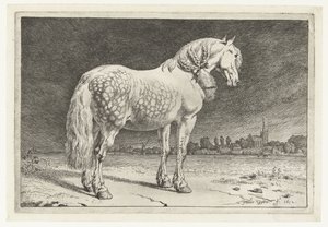 Frieserhesten Hester (serietittel) av Paulus Potter