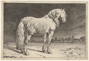 Frieserhesten Hester (serietittel) av Paulus Potter
