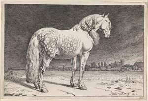  av Paulus Potter