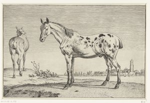 Den forankrede hesten Hester (serietittel) av Paulus Potter