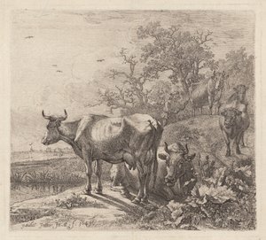 Kuherden av Paulus Potter
