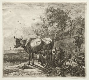 Kohyren av Paulus Potter