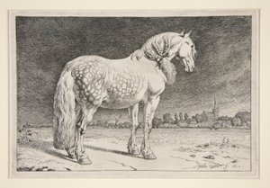 Friesland-hesten av Paulus Potter