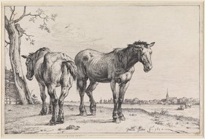  av Paulus Potter