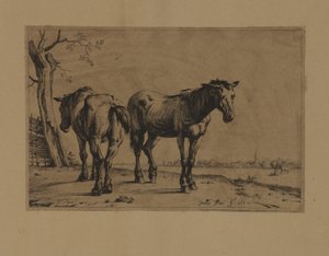 To hester av Paulus Potter