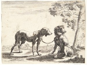 To hunder bundet sammen av Paulus van Hillegaert (II)