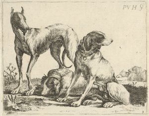 Tre hunder Forskjellige hunder (serietittel)