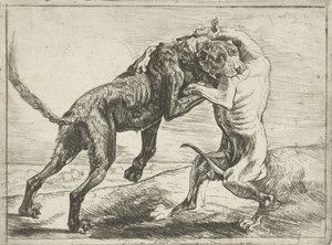 To kamphunder Hunder (serietittel)